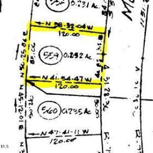 LOT 559