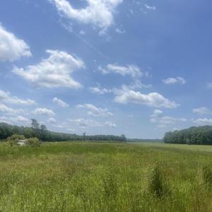 IMG_0807