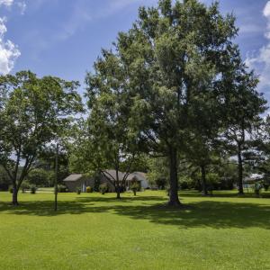 Nothing Could Be Finer