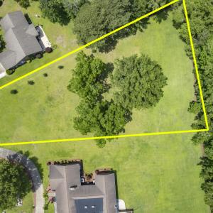 Pecan Tree and Crepe Myrtles