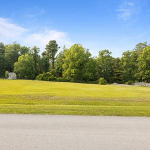 3-web-or-mls-1S3A6965