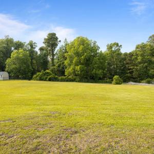 4-web-or-mls-1S3A6967