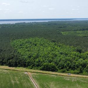 dji_fly_20250604_121826_409_174905399036