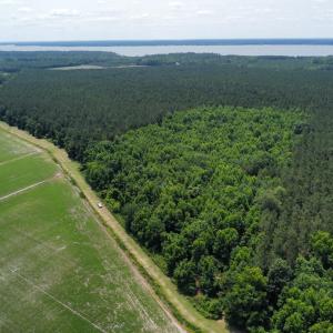 dji_fly_20250604_121946_411_174905399349