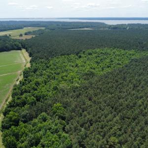 dji_fly_20250604_122008_412_174905405445