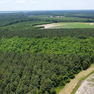 dji_fly_20250604_122304_416_174905419305