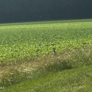 IMG_6125 2