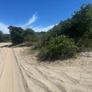 1621 Sandpiper Photo (1)