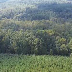 16369 Palmer Rd_Aerial_2