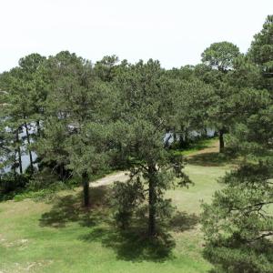 DJI_0308