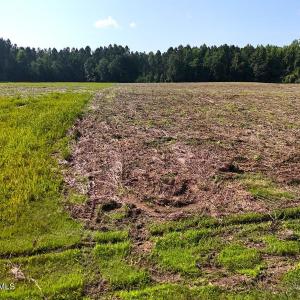 33. Area 1. Ground b