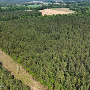 38. Area 1. Easement b