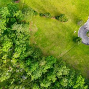 011_Aerial
