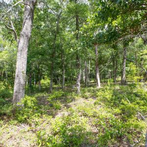 1766 Oyster Harbor-18