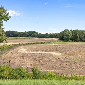5-web-or-mls-DJI_20250613113438_0120_D