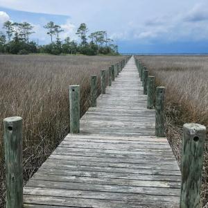 Community Pier