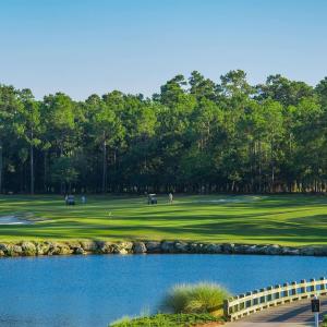 golfcourse