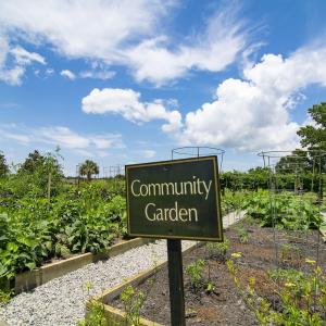 community-gardens-4