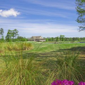golf-course