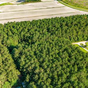 010_Aerial