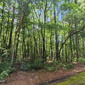 1429 Macgregor Downs Dr #4