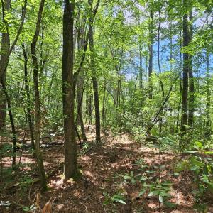 1429 Macgregor Dowsn Dr #6