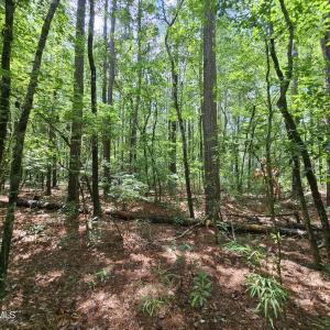 1429 Macgregor Downs Rd #8