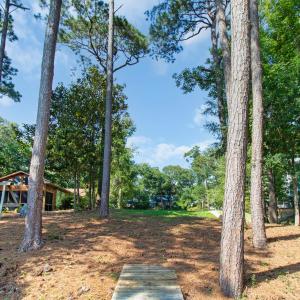 View looking back from dock
