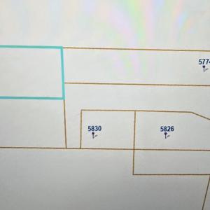 Michael and Anthony's map
