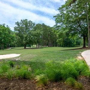 carolina-trace-sanford-14