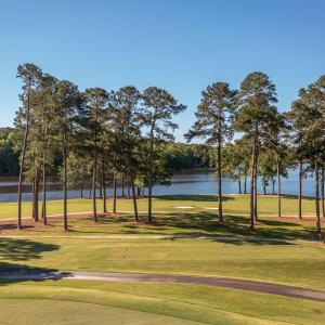 carolina-trace-sanford-1