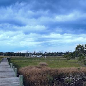 Eastman Creek Pier 1