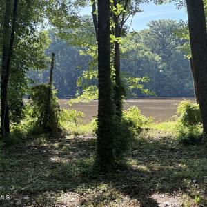 IMG_0031 3