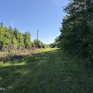IMG_0049 3