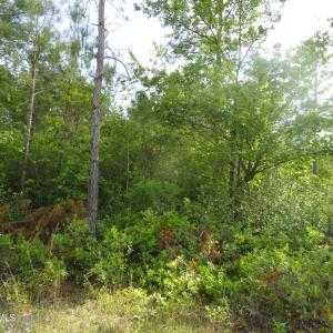 DSC08401