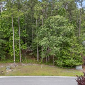 4_dji_20250611172946_0032_d