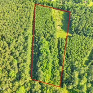 15323 state hwy 21000007