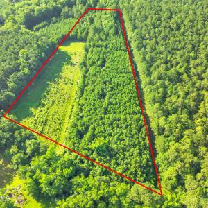 15323 state hwy 21000008