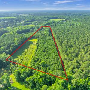 15323 state hwy 21000003