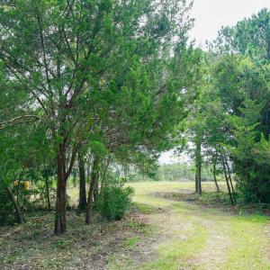 6321 Guinea Ln-21