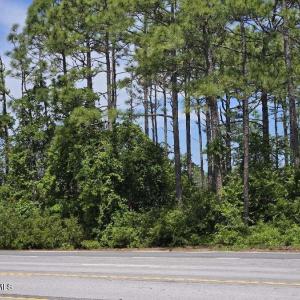 Bradley Nine Mile (1)resized