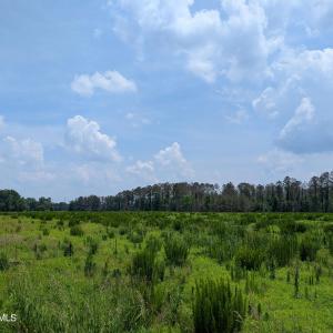 PXL_20250624_162554571