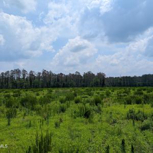 PXL_20250624_162556479