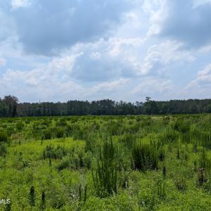 PXL_20250624_162558036