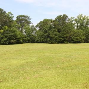 Level Building Lot