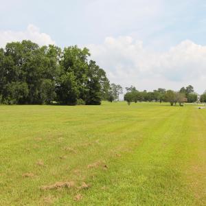 View Across the Lot