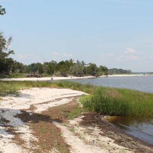 Community Beach