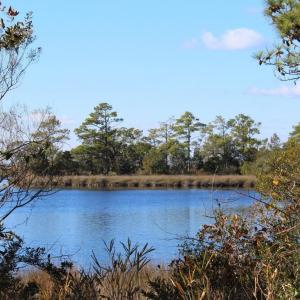 View of Creek