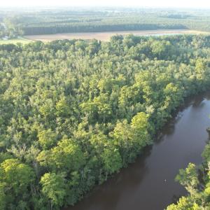 DJI_0963