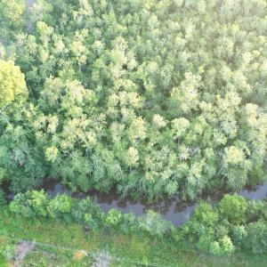 DJI_0934